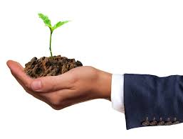 Good Steward Trust Program with Two Trusts Package